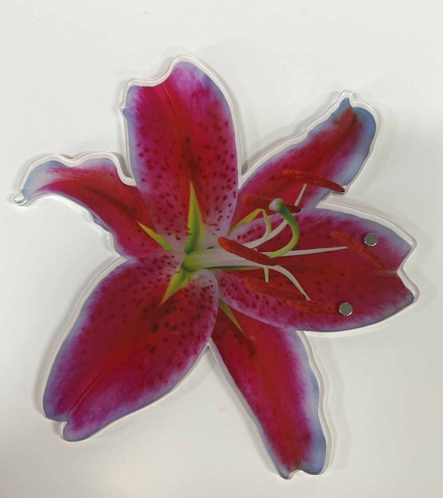Tulips Tiles