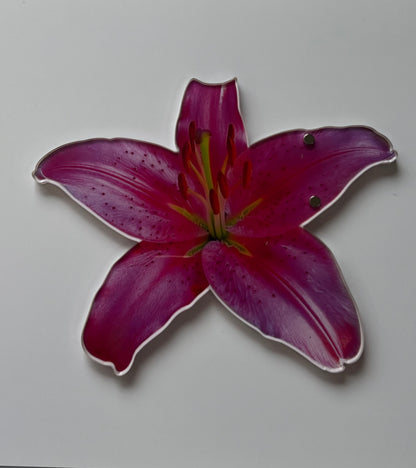 Tulips Tiles